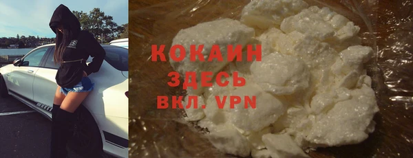молекула духа Горнозаводск
