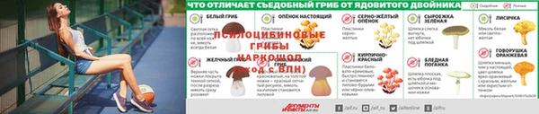 молекула духа Горнозаводск