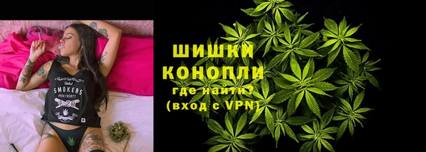 молекула духа Горнозаводск
